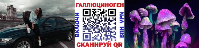 Купить где  Саки  Галлюциногенные грибы мицелий 